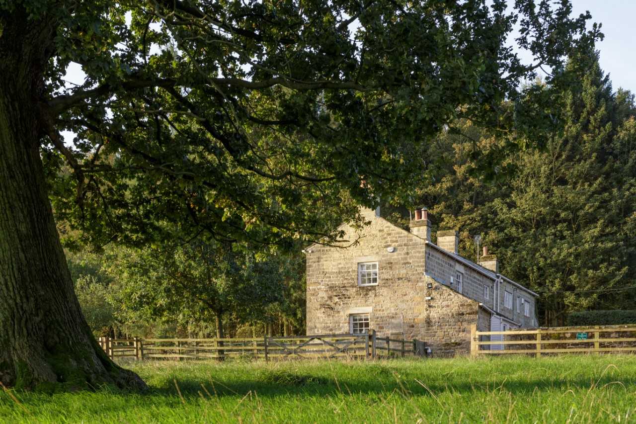 Harewood Holidays