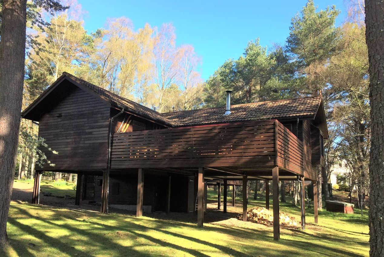 The Treehouse