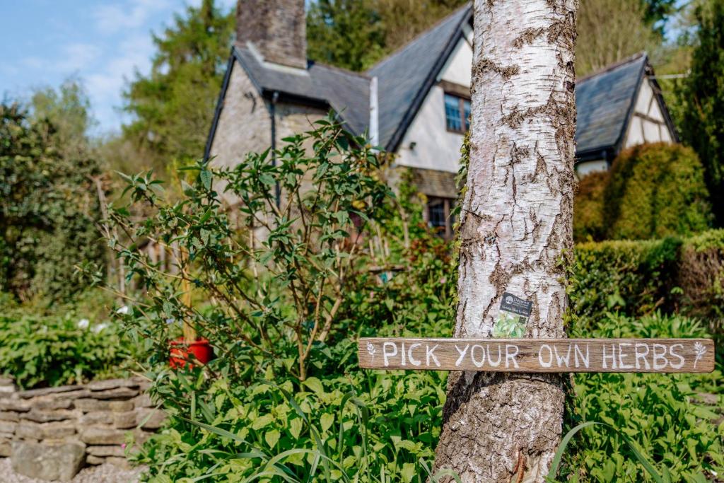 Llethrau Forest & Nature Retreats